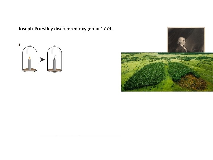 Joseph Priestley discovered oxygen in 1774 www. acs. org/content/acs/en/educ ation/whatischemistry/landmarks/j osephpriestleyoxygen. html 