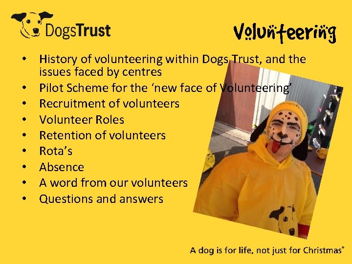 Volunteering • History of volunteering within Dogs Trust, and the issues faced by centres