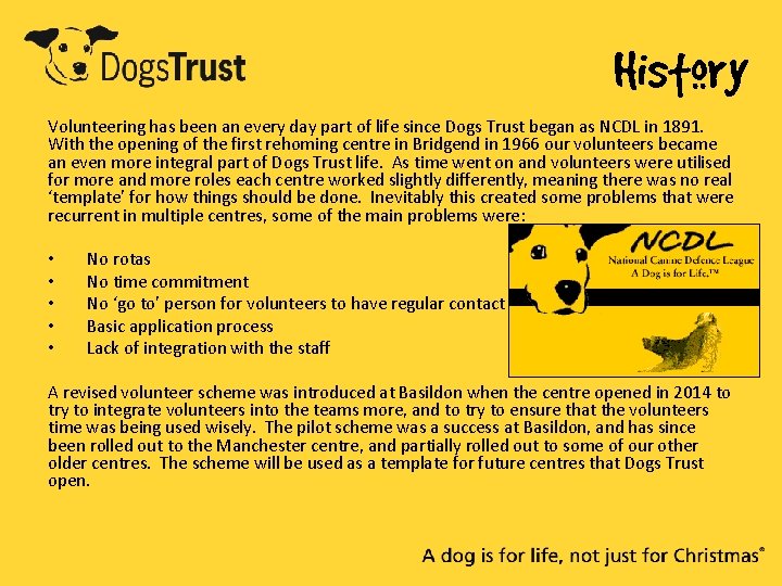 History Volunteering has been an every day part of life since Dogs Trust began