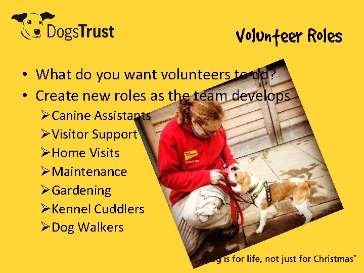 Volunteer Roles • What do you want volunteers to do? • Create new roles