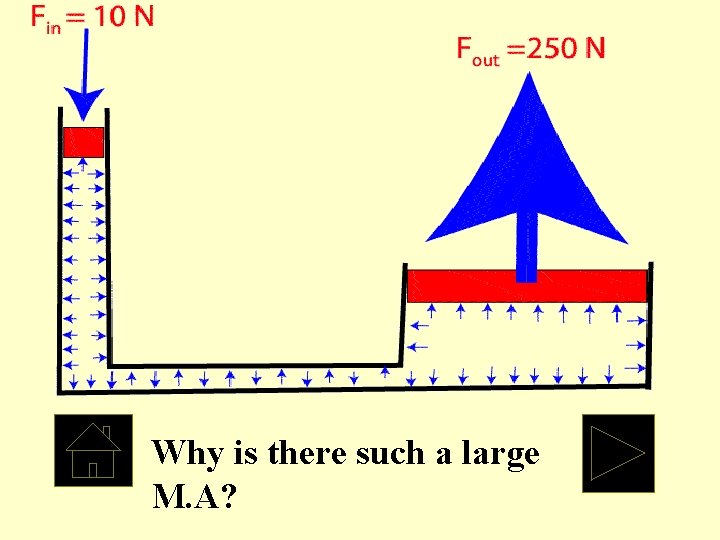 Why is there such a large M. A? 
