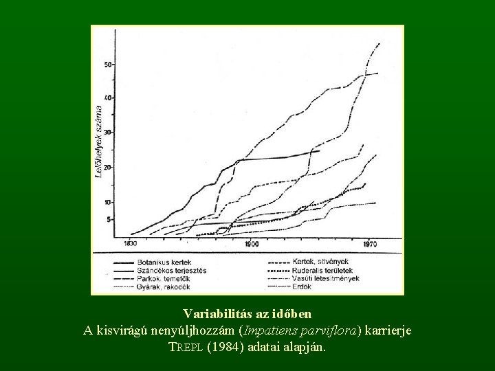 Variabilitás az időben A kisvirágú nenyúljhozzám (Impatiens parviflora) karrierje TREPL (1984) adatai alapján. 