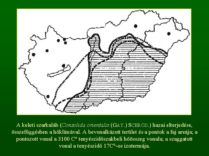 A keleti szarkaláb (Consolida orientalis (GAY. ) SCHRÖD. ) hazai elterjedése, összefüggésben a hőklímával.
