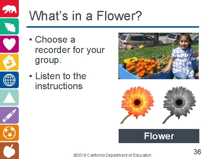 What’s in a Flower? • Choose a recorder for your group. • Listen to