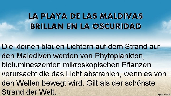 LA PLAYA DE LAS MALDIVAS BRILLAN EN LA OSCURIDAD Die kleinen blauen Lichtern auf