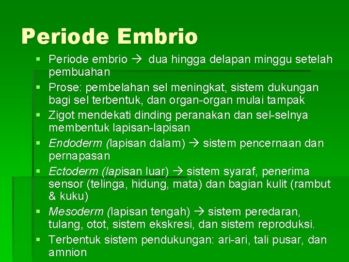 Periode Embrio § Periode embrio dua hingga delapan minggu setelah pembuahan § Prose: pembelahan