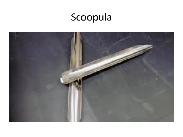 Scoopula 