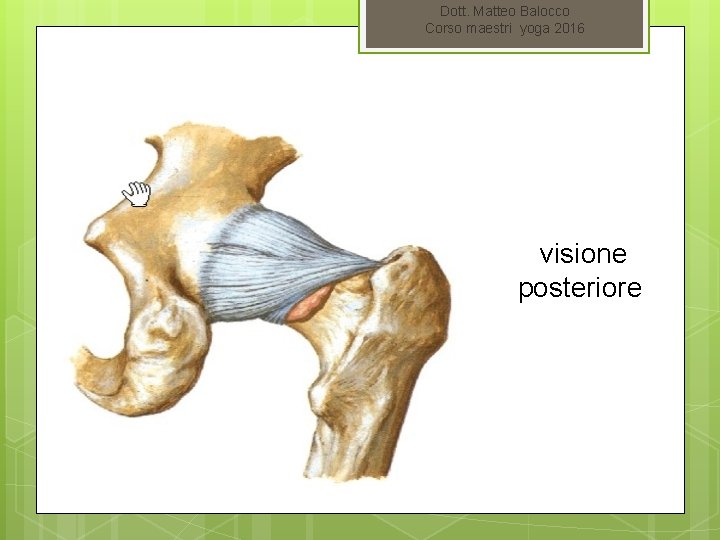 Dott. Matteo Balocco Corso maestri yoga 2016 visione posteriore 