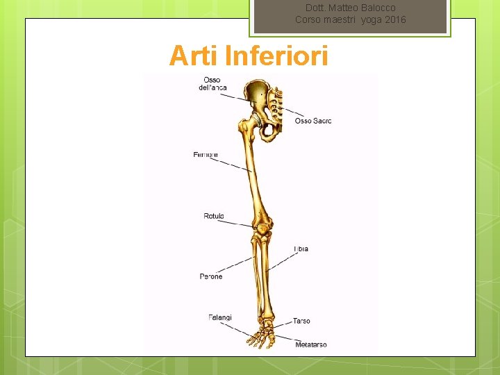 Dott. Matteo Balocco Corso maestri yoga 2016 Arti Inferiori 