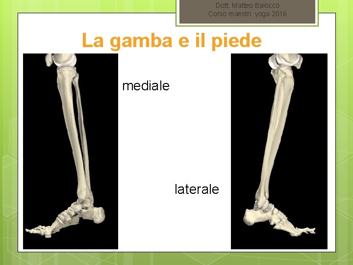 Dott. Matteo Balocco Corso maestri yoga 2016 La gamba e il piede mediale laterale