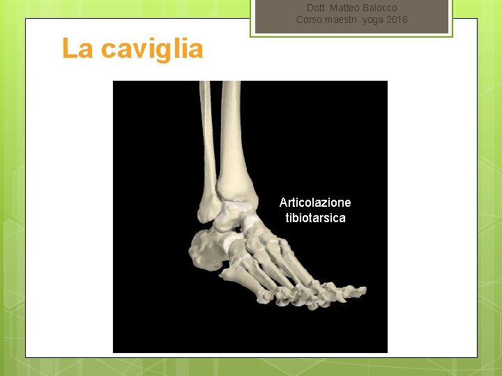 Dott. Matteo Balocco Corso maestri yoga 2016 La caviglia Articolazione tibiotarsica 