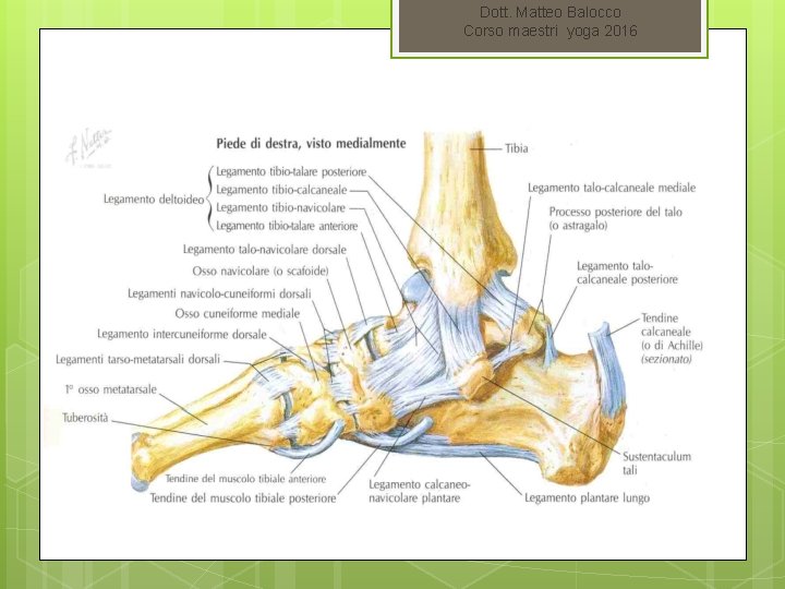 Dott. Matteo Balocco Corso maestri yoga 2016 