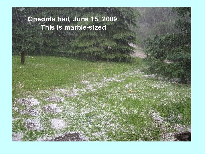 Oneonta hail, June 15, 2009. This is marble-sized 