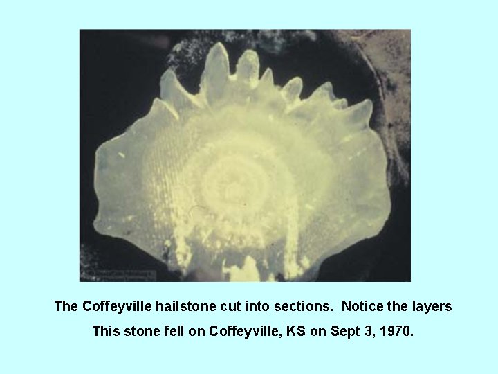 The Coffeyville hailstone cut into sections. Notice the layers This stone fell on Coffeyville,