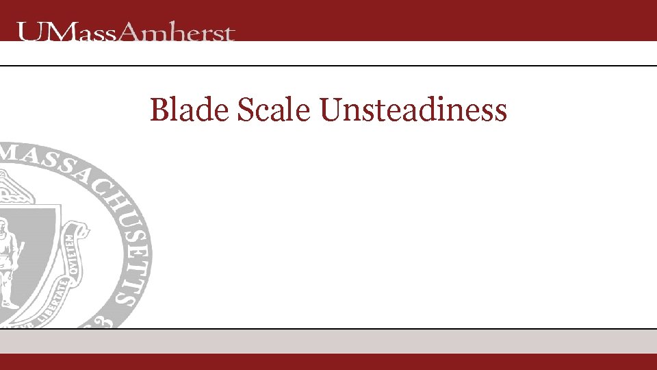 Blade Scale Unsteadiness 