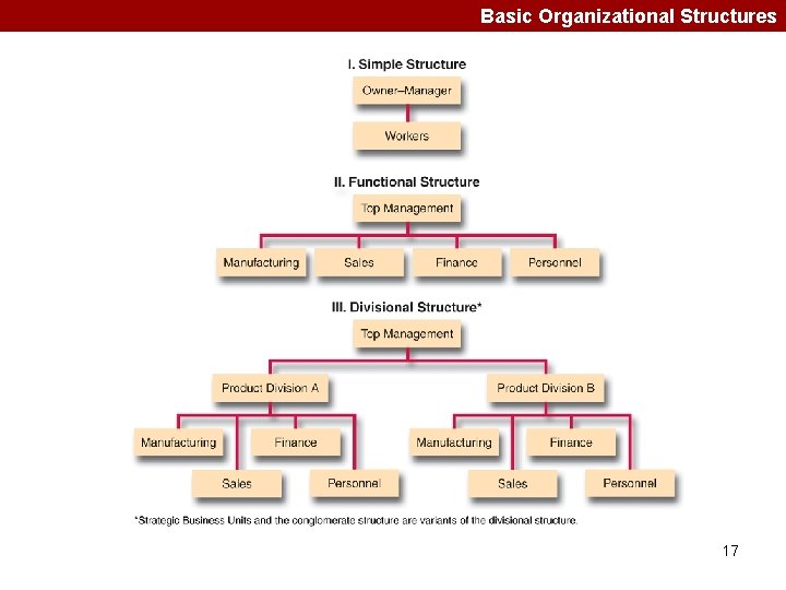 Basic Organizational Structures 17 
