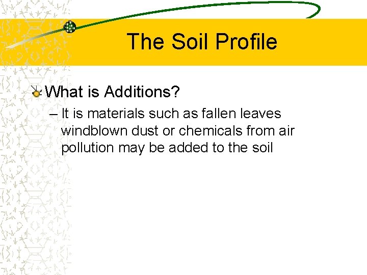 The Soil Profile What is Additions? – It is materials such as fallen leaves