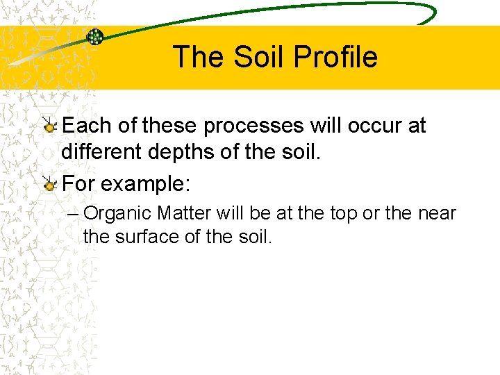 The Soil Profile Each of these processes will occur at different depths of the