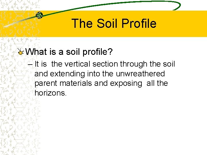 The Soil Profile What is a soil profile? – It is the vertical section