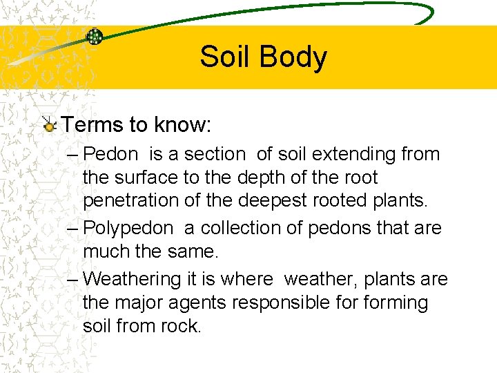 Soil Body Terms to know: – Pedon is a section of soil extending from