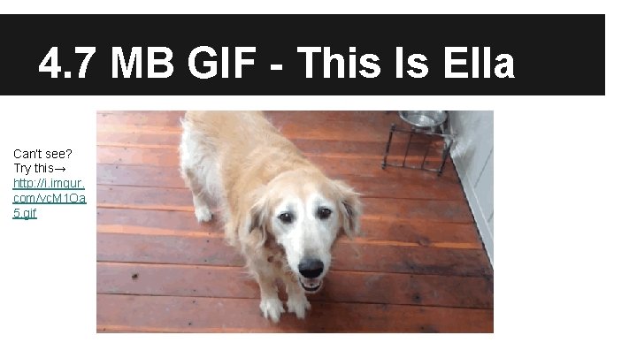 4. 7 MB GIF - This Is Ella Can’t see? Try this→ http: //i.