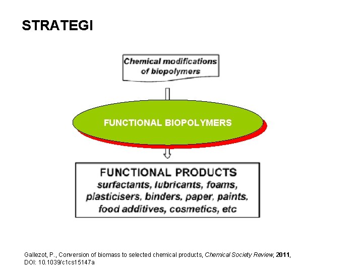 STRATEGI FUNCTIONAL BIOPOLYMERS Gallezot, P. , Conversion of biomass to selected chemical products, Chemical