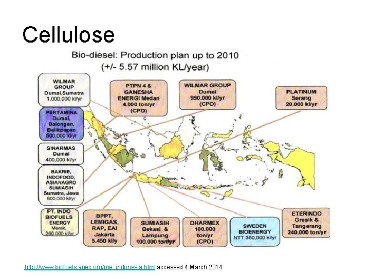 Cellulose http: //www. biofuels. apec. org/me_indonesia. html accessed 4 March 2014 