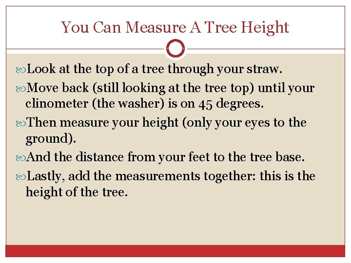 You Can Measure A Tree Height Look at the top of a tree through