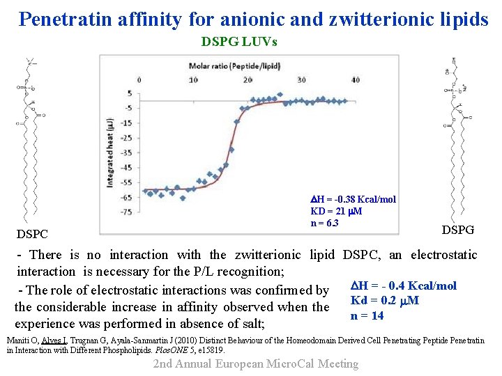 Penetratin affinity for anionic and zwitterionic lipids DSPG LUVs DSPC H = -0. 38