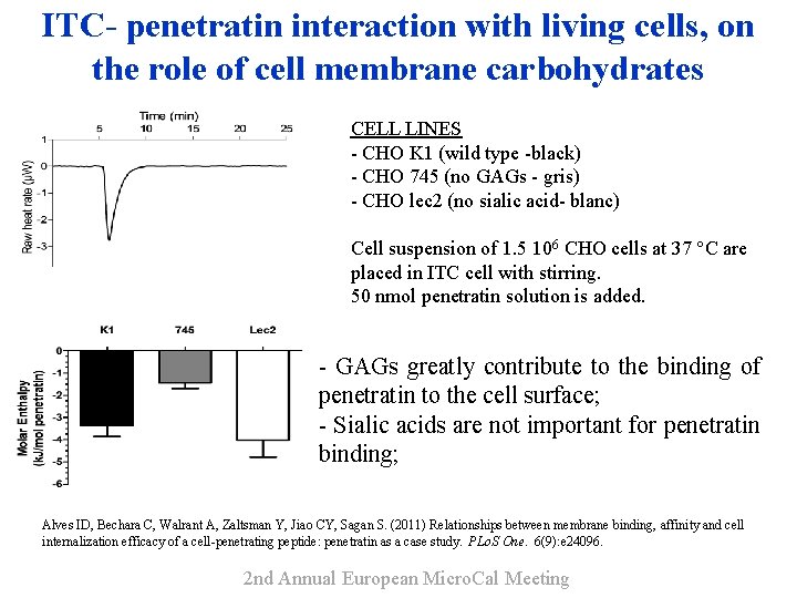 ITC- penetratin interaction with living cells, on the role of cell membrane carbohydrates CELL