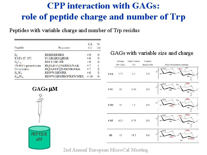 CPP interaction with GAGs: role of peptide charge and number of Trp Peptides with