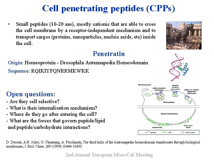 Cell penetrating peptides (CPPs) • Small peptides (10 -20 aas), mostly cationic that are