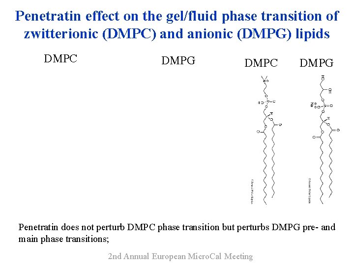 Penetratin effect on the gel/fluid phase transition of zwitterionic (DMPC) and anionic (DMPG) lipids