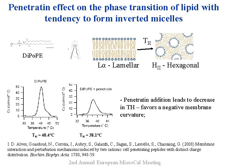 Penetratin effect on the phase transition of lipid with tendency to form inverted micelles