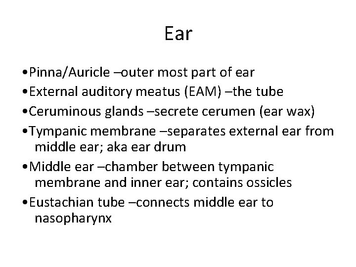 Ear • Pinna/Auricle –outer most part of ear • External auditory meatus (EAM) –the