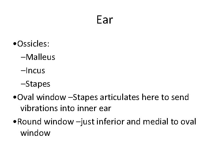 Ear • Ossicles: –Malleus –Incus –Stapes • Oval window –Stapes articulates here to send