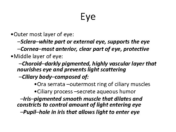 Eye • Outer most layer of eye: –Sclera–white part or external eye, supports the