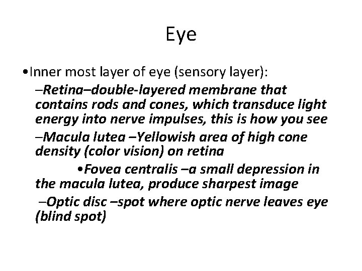 Eye • Inner most layer of eye (sensory layer): –Retina–double-layered membrane that contains rods