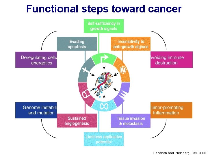 Functional steps toward cancer Hanahan and Weinberg, Cell 2000 2011 