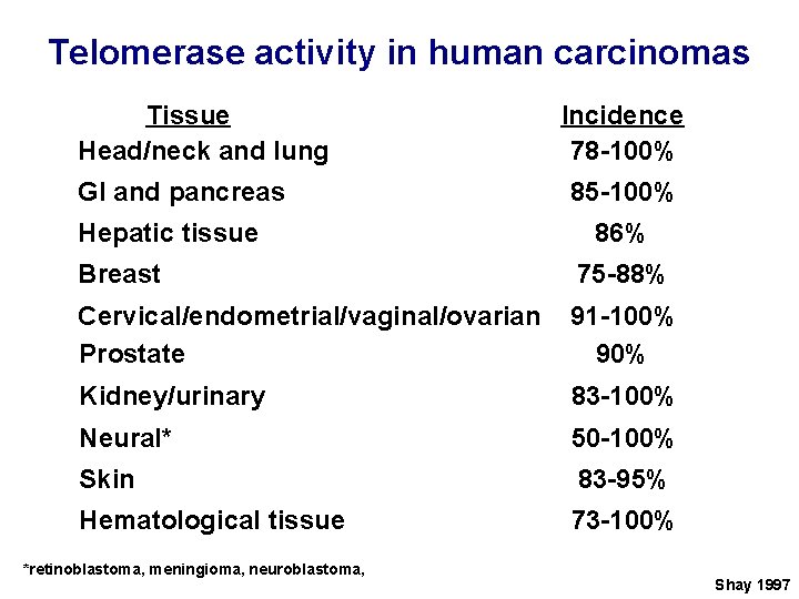 Telomerase activity in human carcinomas Tissue Head/neck and lung GI and pancreas Hepatic tissue