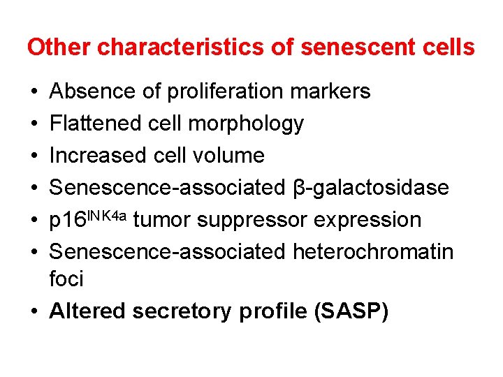 Other characteristics of senescent cells • • • Absence of proliferation markers Flattened cell