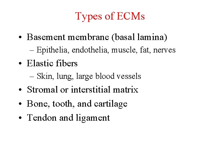 Types of ECMs • Basement membrane (basal lamina) – Epithelia, endothelia, muscle, fat, nerves