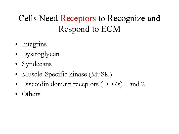 Cells Need Receptors to Recognize and Respond to ECM • • • Integrins Dystroglycan