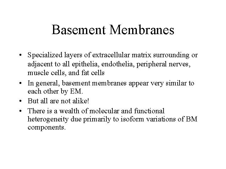 Basement Membranes • Specialized layers of extracellular matrix surrounding or adjacent to all epithelia,