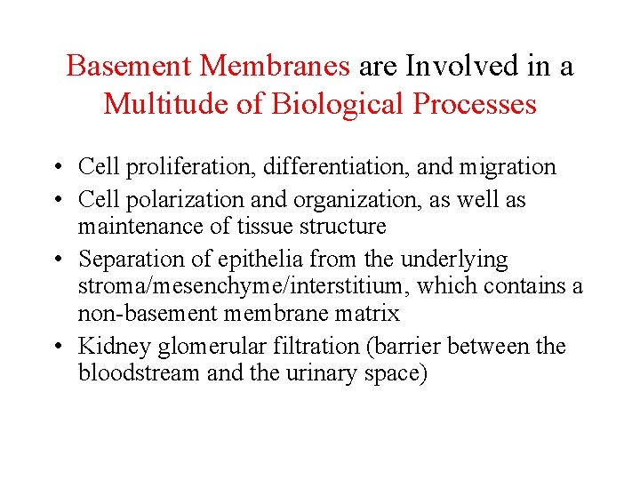 Basement Membranes are Involved in a Multitude of Biological Processes • Cell proliferation, differentiation,