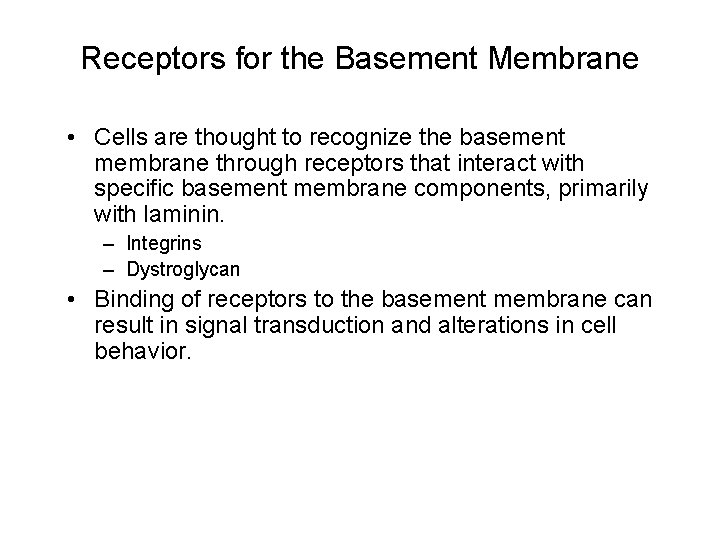 Receptors for the Basement Membrane • Cells are thought to recognize the basement membrane