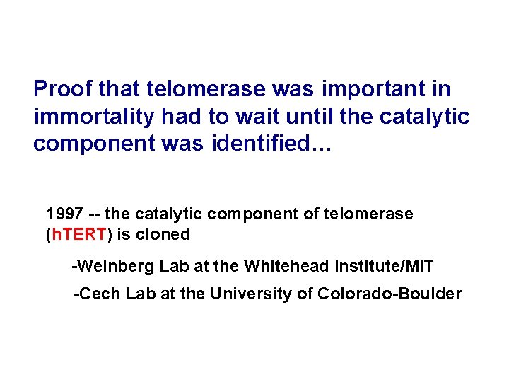 Proof that telomerase was important in immortality had to wait until the catalytic component