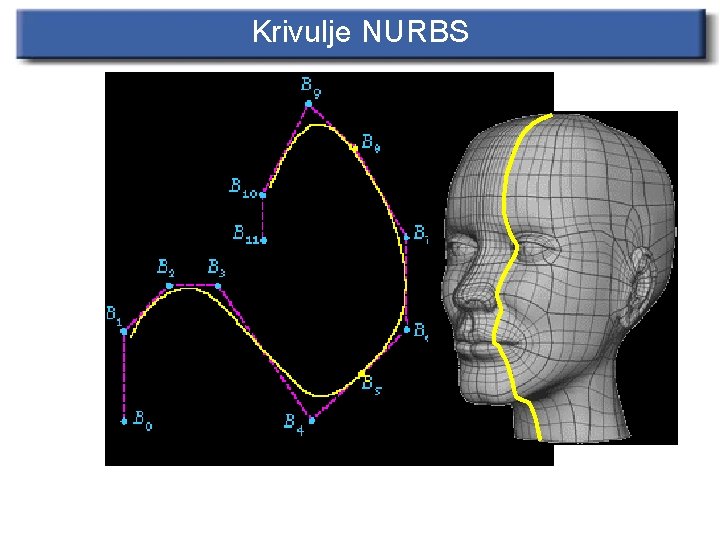 Krivulje NURBS 