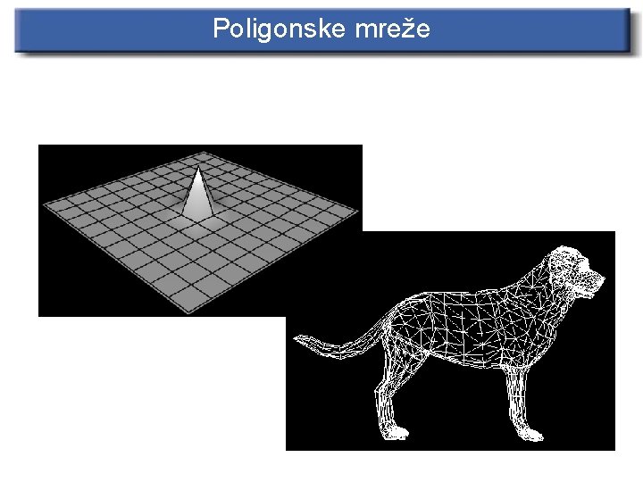 Poligonske mreže 