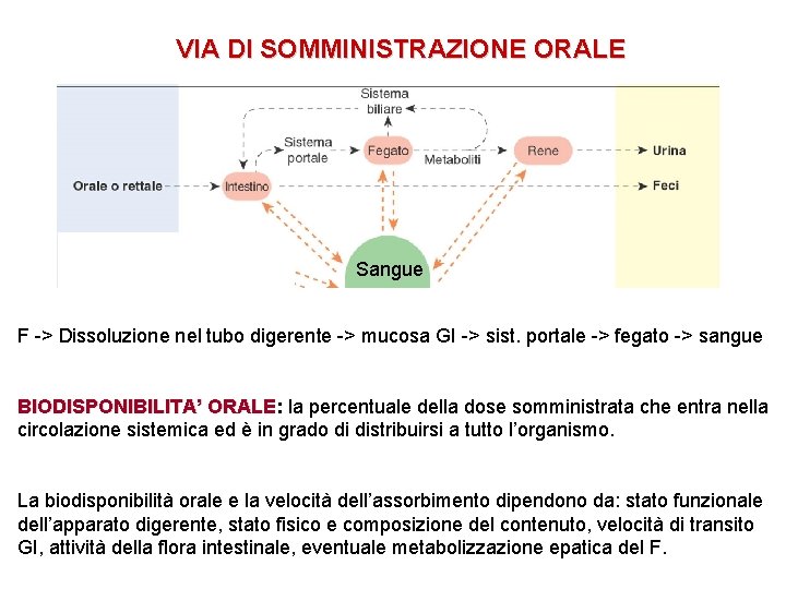 VIA DI SOMMINISTRAZIONE ORALE Sangue F -> Dissoluzione nel tubo digerente -> mucosa GI